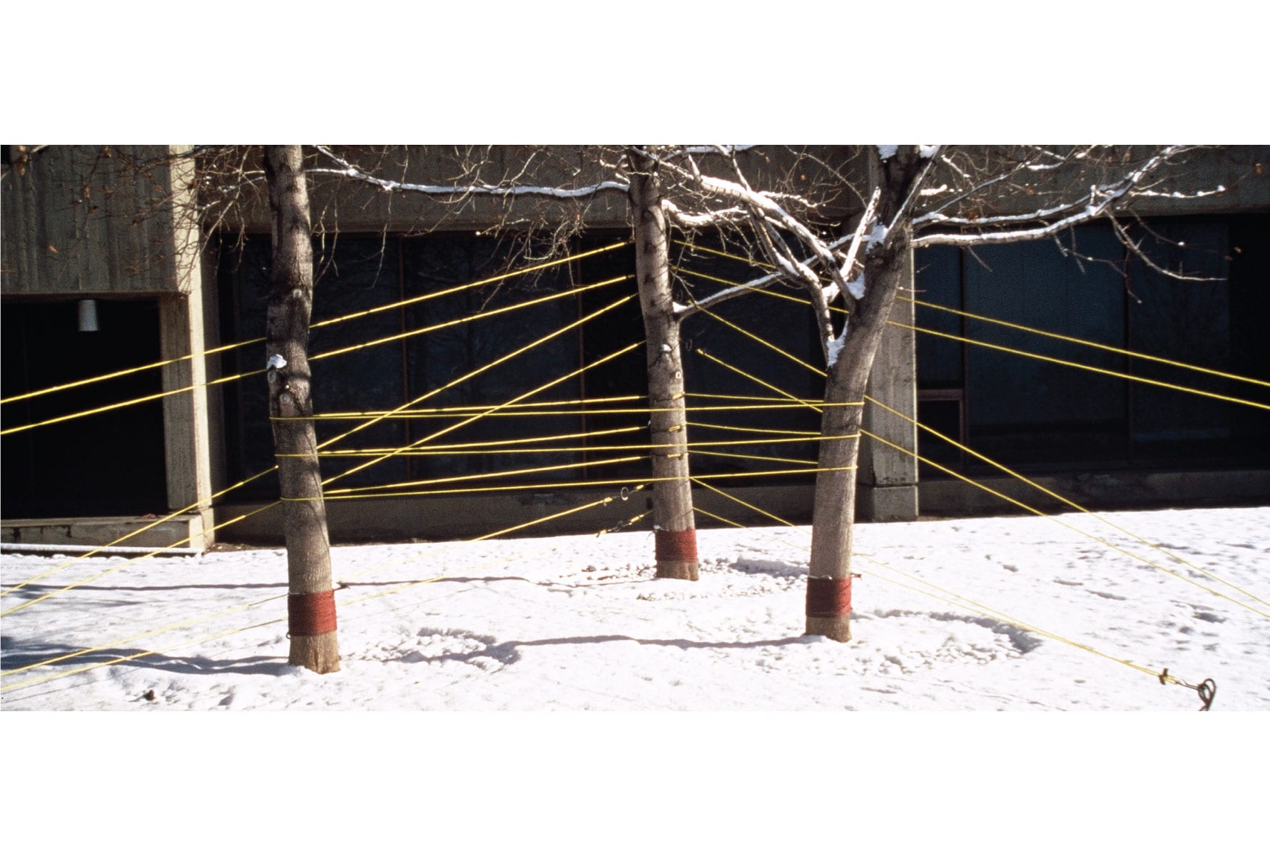 Geometric-Trees-Studies-WOW-atelier-Art-Gregory-M-Walker-Salt-Lake-City-Utah